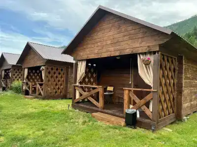 Лесной берег - 4