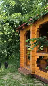 Березовка - 16