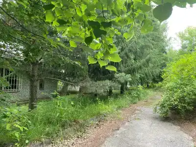 Дорожник - 2