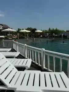 Загородное - 79