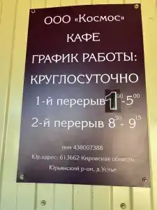 Космос - 10