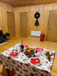 Ельники - 9