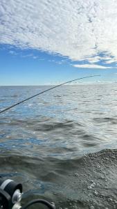 Заповедный край - 81