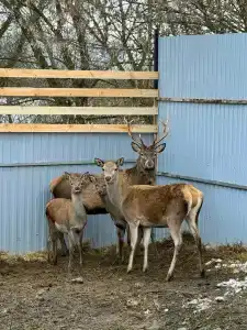 Родные просторы - 63