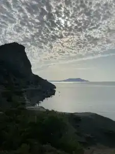 Шампань - 14