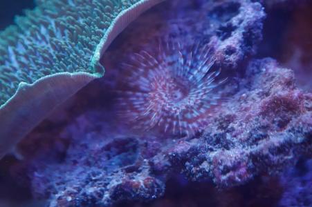 Солнечный - 91