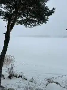 Лесная пристань - 41