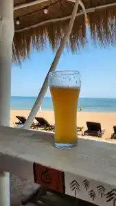 Замок грез - 97