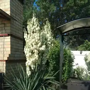 Морская, 51 - 35