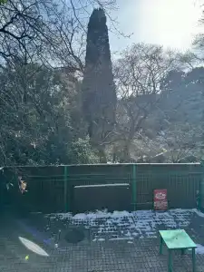 Дома в парке - 14