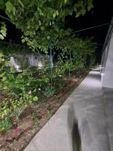 Южный Берег - 46