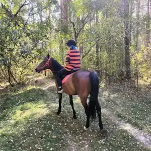 Круиз Вилладж - 71