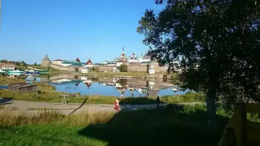 Приют - 26