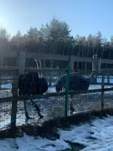 Австралийский хутор - 35