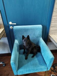 Графская пристань - 22