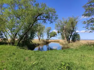 Кена-парк - 41