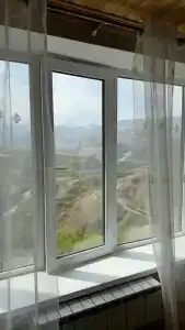 Пение птиц - 87