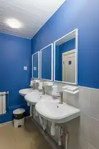 Дельфин - 1