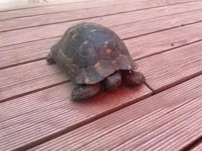 Sailor's Beach Club - 41