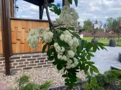 Сталевар - 11