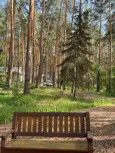 Лесная - 28