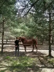 Круиз Вилладж - 75