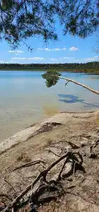 Здоровей - 95