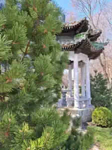 Золотой Город - 80