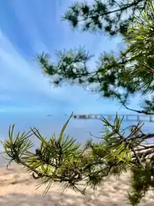 Мы-сЪ Онего - 21