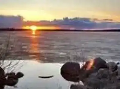 Коди Ярви - 42