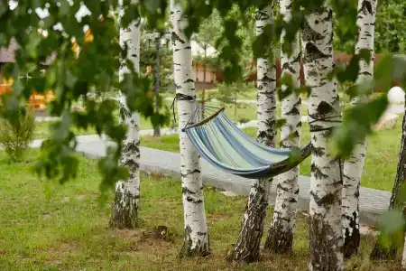 Мордасово - 5