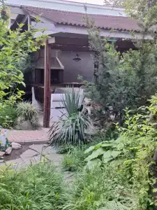 Paradise - 14
