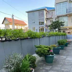 Виола - Рыбацкий - 6