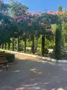 Кристалл - 14