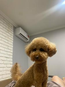 Гостевой дом на Янтарной 88 - 79