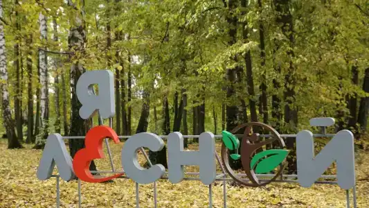 Санаторий Лесной - 8