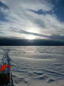 Вектор - 11