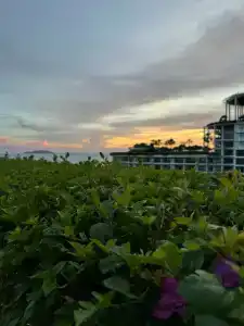 Ocean Sonic Resort Sanya - 38
