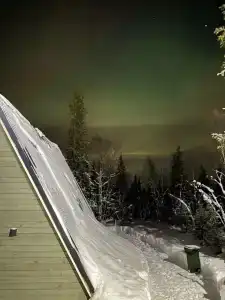 Хаски Кэмп - 11