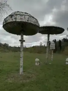 Парк Экспедиция - 15