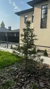 Family Time - 7