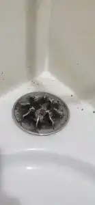 Русский Лес - 65