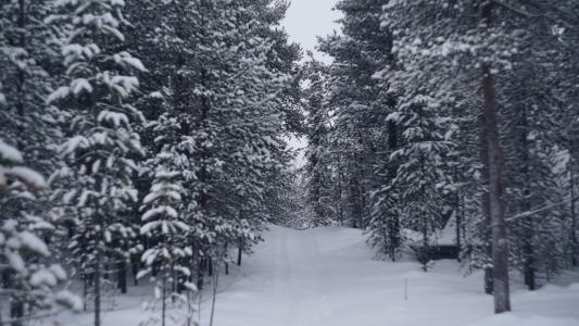Глэмпинг Гиперборея - 79