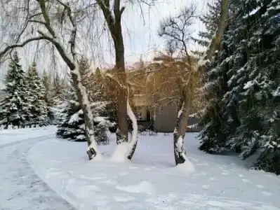 Сокол - 66
