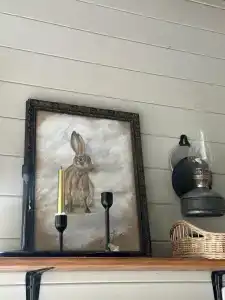 Пенеснарь - 17