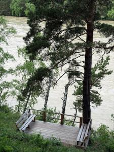 46-й километр - 6