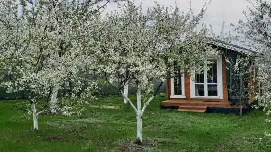 Дом Жар-Птицы - 7