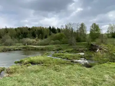 Икс-Лес - 36