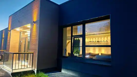 Родина Аэро - 46