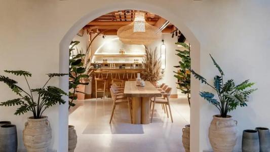 Wren Urban Nest - 50